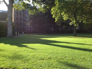 Stadspark Den Bosch